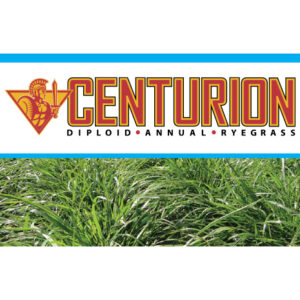 Centurion Annual Ryegrass E Is For Everything Forage