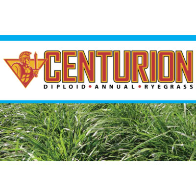Centurion Annual Ryegrass