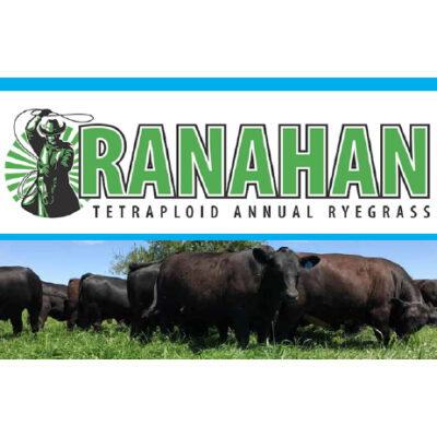 Ranahan Annual Ryegrass