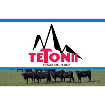 Teton II Tall Fescue