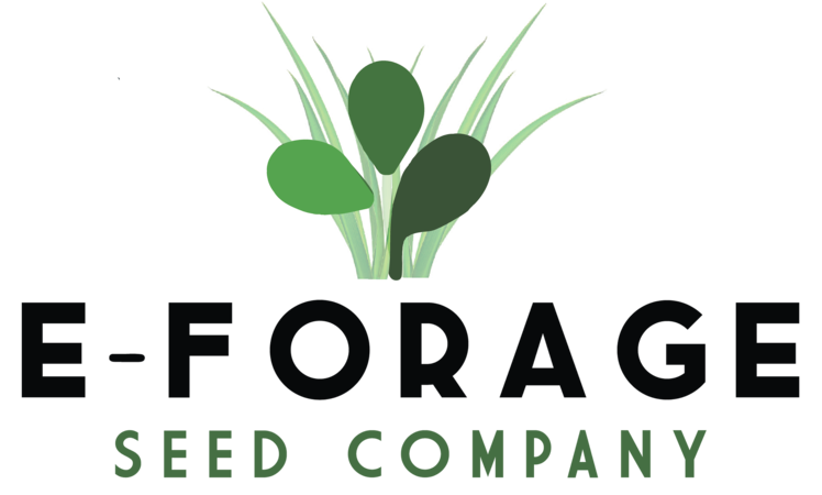 E-forage Seed Company Logo